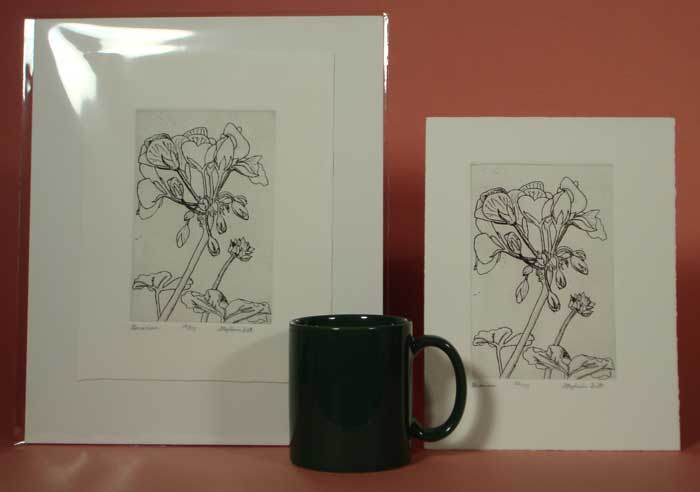 Photograph view of etching, "Geranium", showing its size