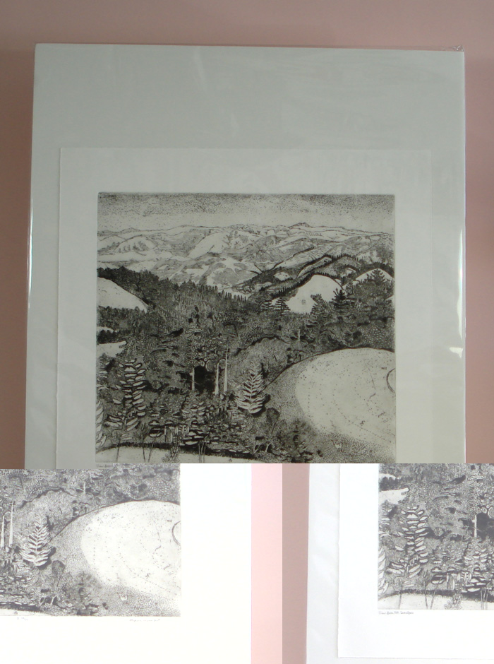 Photograph view of etching, "View from Mount Tamalpais", showing it mounted