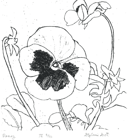 "Pansy" Etching by Stephanie Scott, shows print of floral display