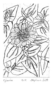 "Zinnias" Etching by Stephanie Scott, shows print of floral display