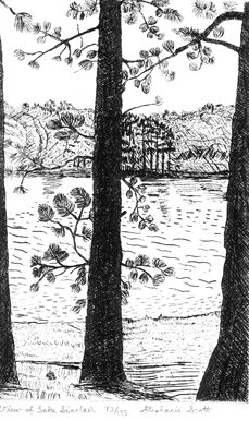 "View of Lake Sinclair" Etching by Stephanie Scott, shows scenery of Georgia Lake Country