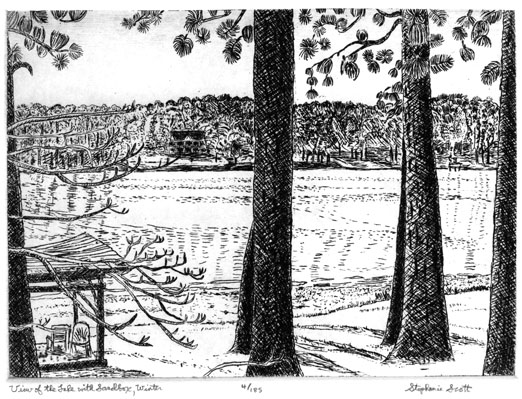 "View of The Lake With Sandbox, Winter" Etching by Stephanie Scott, shows scenery of Georgia Lake Country