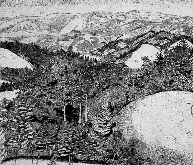 "View from Mount Tamalpais" Etching by Stephanie Scott, shows scenery of Northern California
