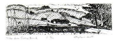 Northern California Region - Landscape Etching by Stephanie Scott, etcher, Title "View From Picnic Beach"