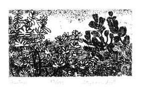 "Tree Tops" Etching by Stephanie Scott, shows scenery of Lake Tahoe
