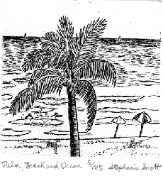 Palm, Beach and Ocean