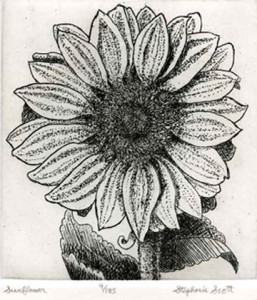 Sunflower Etching