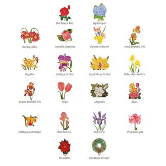 Entire Flower Card Collection